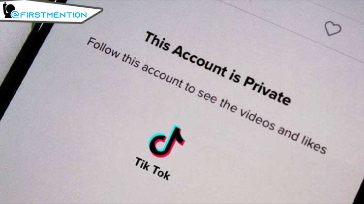 Apa Itu Fitur Privasi di Tiktok