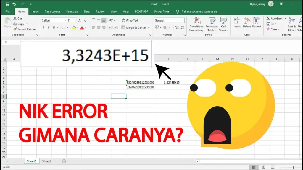 Mengapa Menulis NIK di Excel Bisa Bermasalah