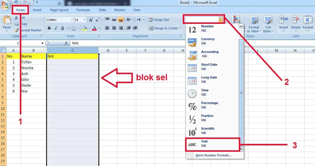 Tips Menulis NIK di Excel