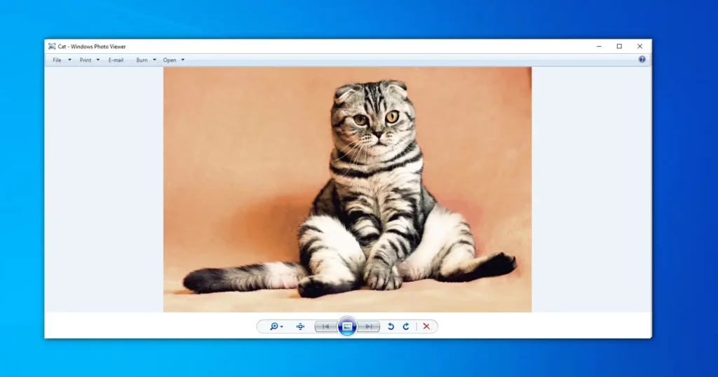 Windows Photo Viewer