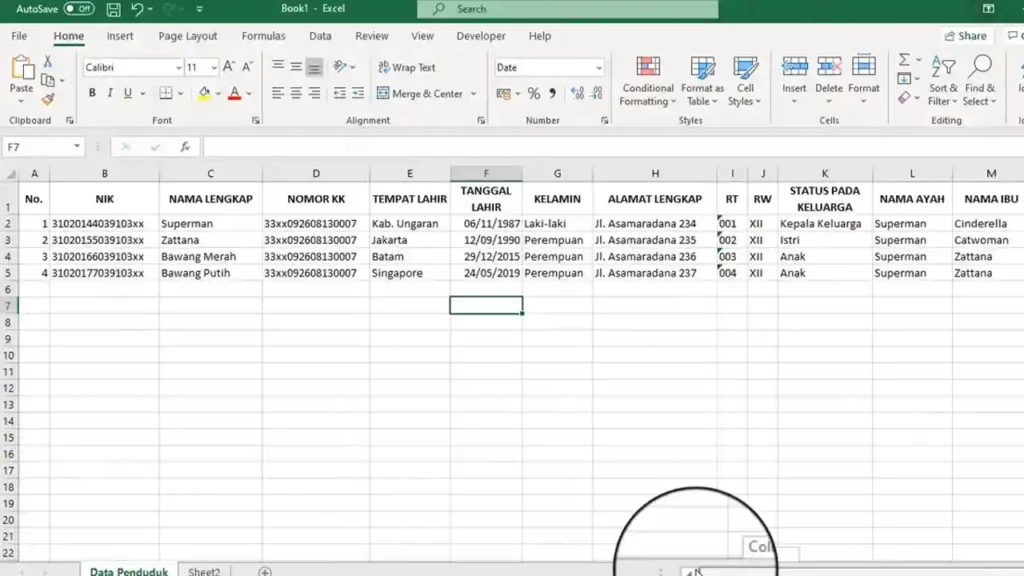 Data Penduduk RT Excel